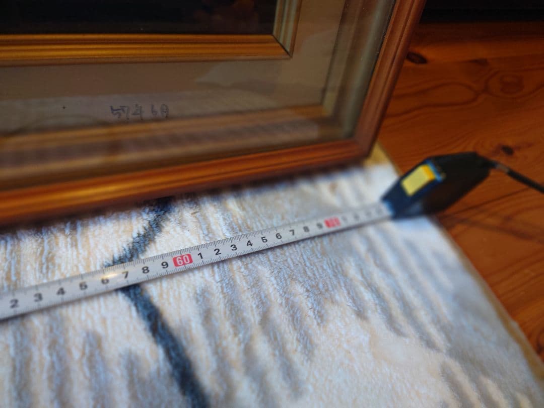 レイクトラウトの剥製