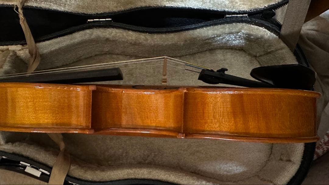 Roderich Paesold【バイオリンセット】 PA801J 1/4