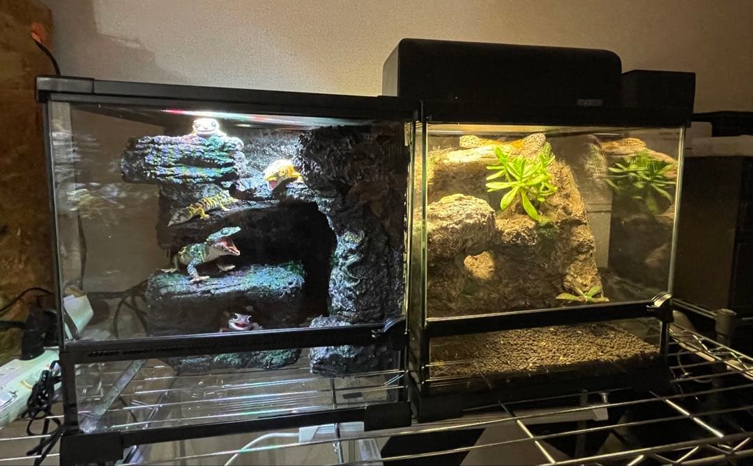 爬虫類レイアウト用品 爬虫類フルレイアウト 爬虫類ケージ テラスペース