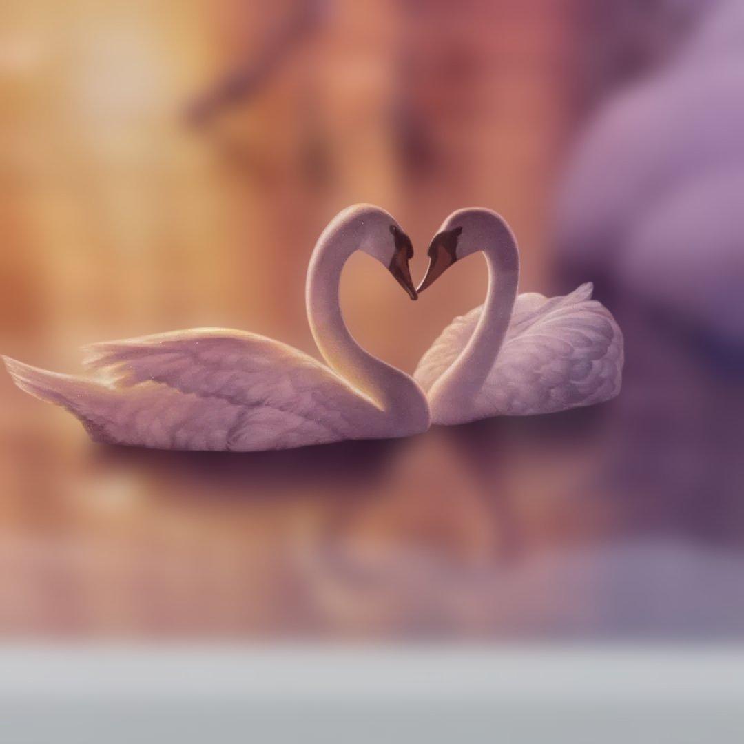 6344【美品】カーク・レイナート◆スウィート リメンブランス◆白鳥◆ハート