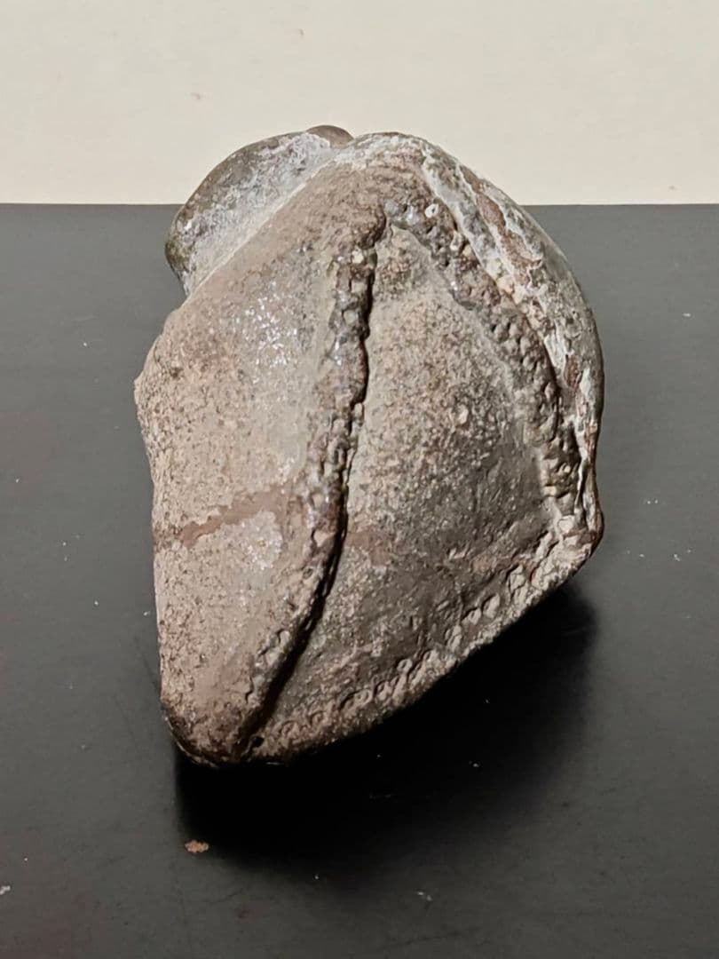 革袋型須恵器残欠　考古発掘品　稀少　古美術　花呼ぶ器