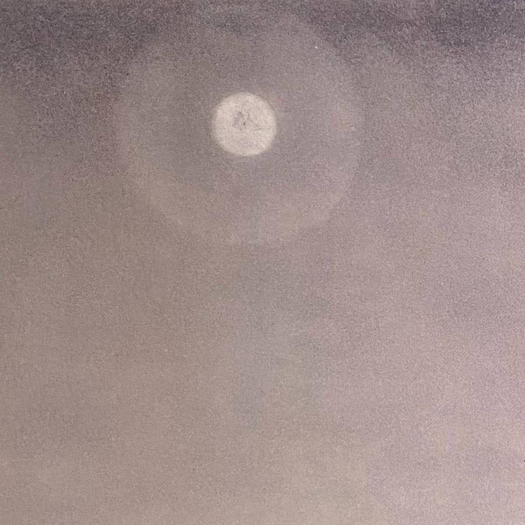 大山忠作、【春宵爛漫】、希少な額装用画集より、新品額装付、状態良好