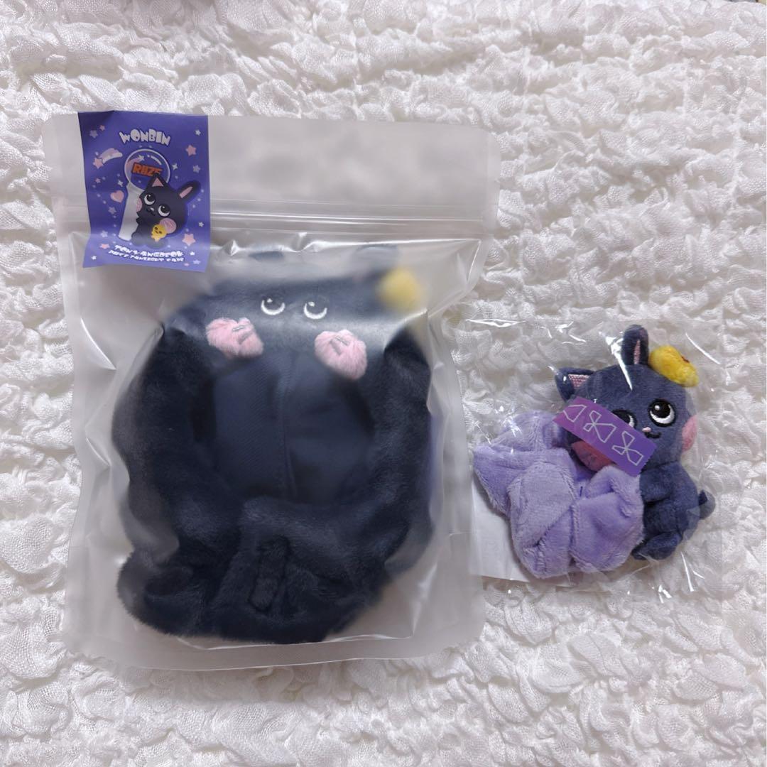 RIIZE ウォンビン トニャンドク ペンライトカバー シュシュ 💛RIIZE