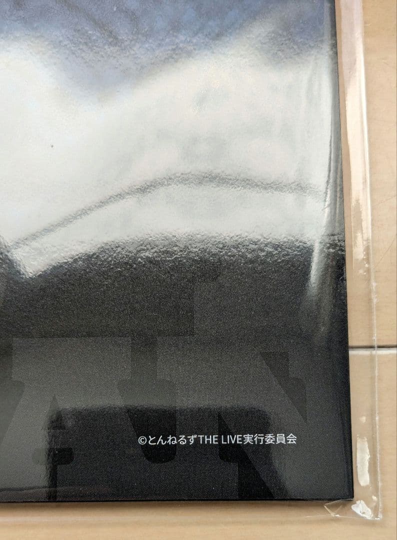 とんねるず THE LIVE 2024　パンフレット