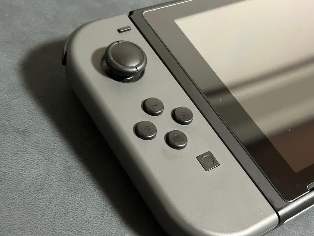 Switch Nintendo Switch グレー　保護ケース付き