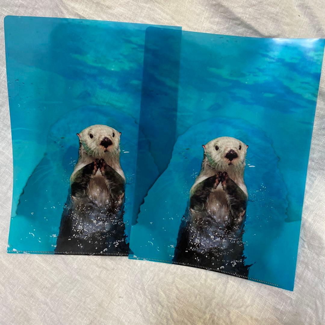 鳥羽水族館☆ラッコ☆クリアファイル☆2枚 - メルカリ