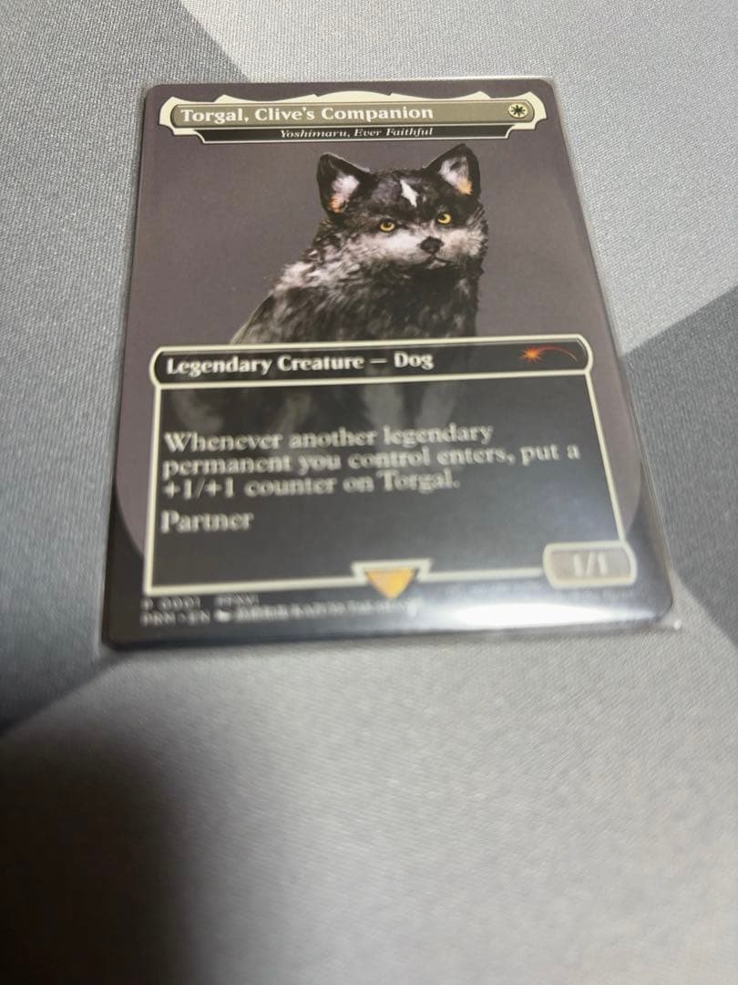 トルガル-Torgal, Clive's Companion - 永久忠義の義丸 - メルカリ