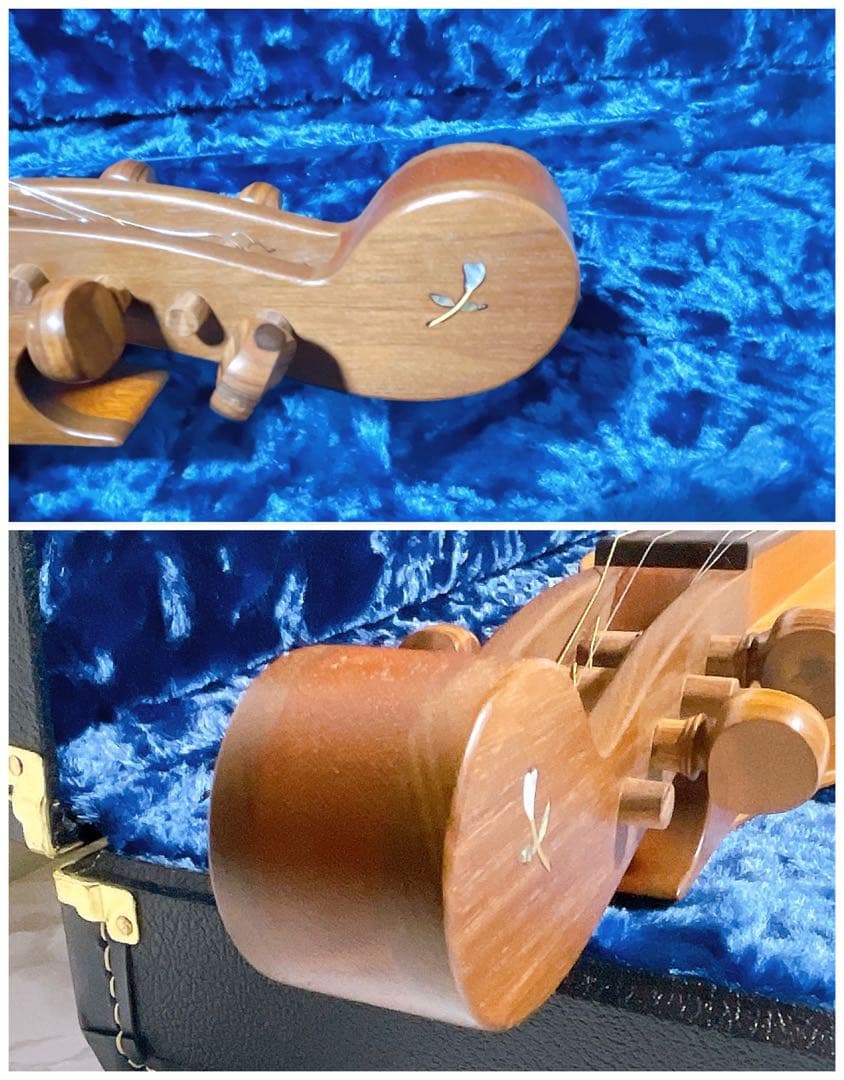 【美品】BLUE LION マウンテンダルシマー　JRW ハードケース付き