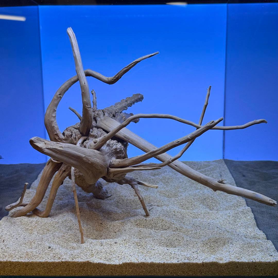 MDW-7283 ブランチウッド 流木 枝流木 アクアリウム - メルカリ