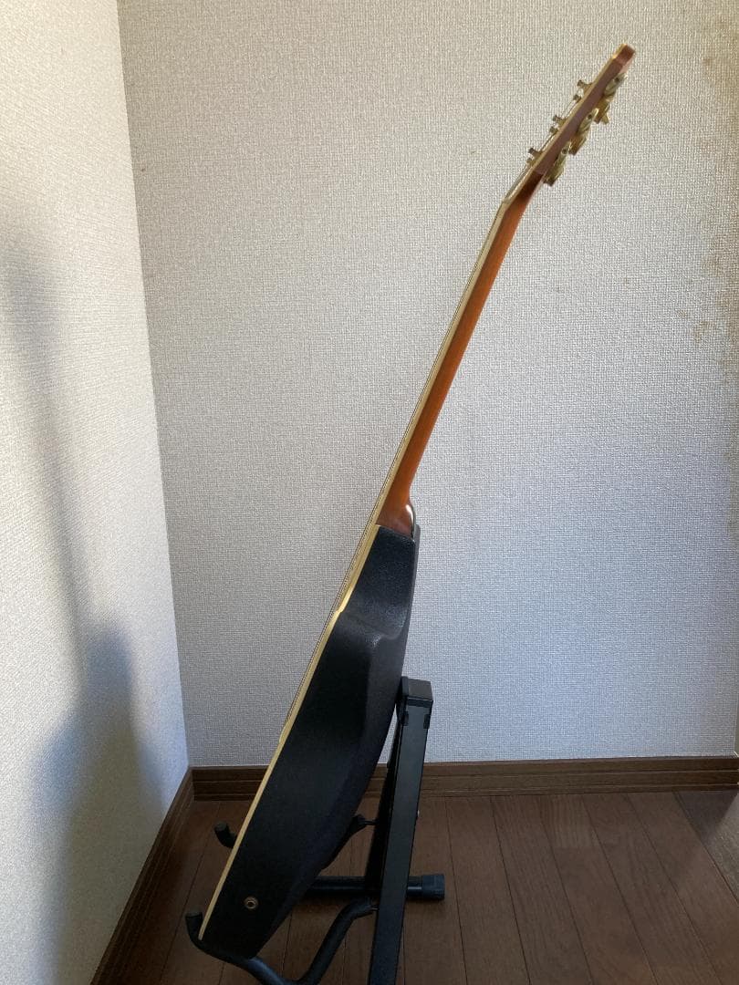 Pro Martin CUSTOM エレアコ EA 450　虎杢