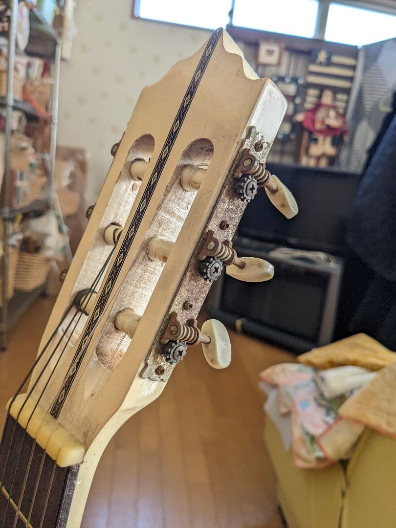 PALOMAアコースティックギター白(⁠ ⁠ꈍ⁠ᴗ⁠ꈍ⁠)