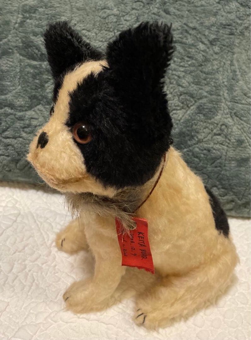 KEITA BEAR さんの犬のぬいぐるみ　ケイタベア