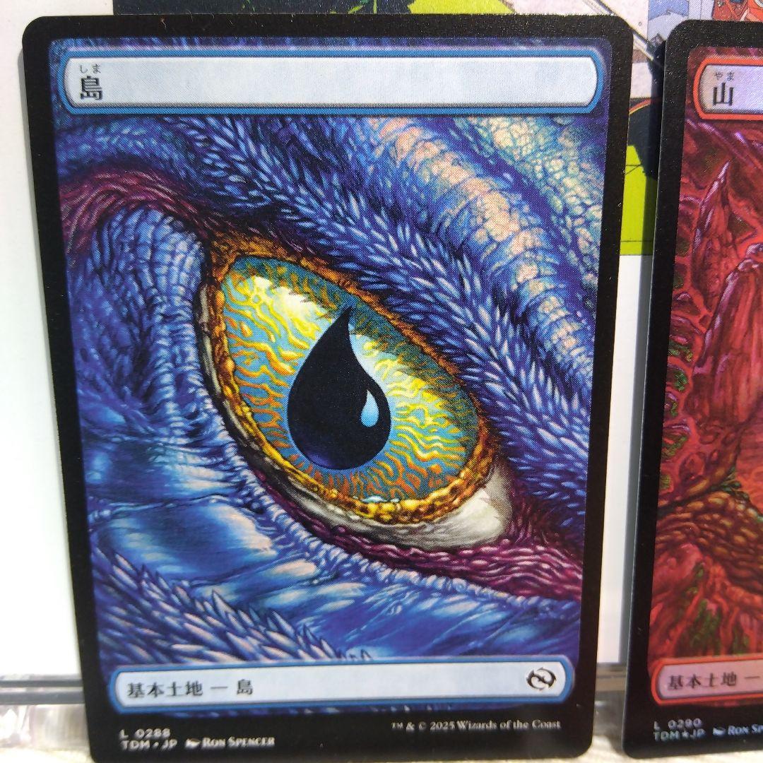 MTG タルキール 龍嵐録 基本土地【日本語版】 - メルカリ