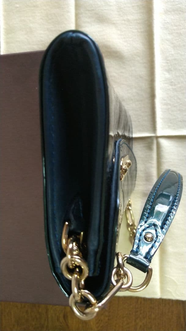 ルイヴィトン ヴェルニ サンセットブルーバード アラマント 保存袋&箱付き