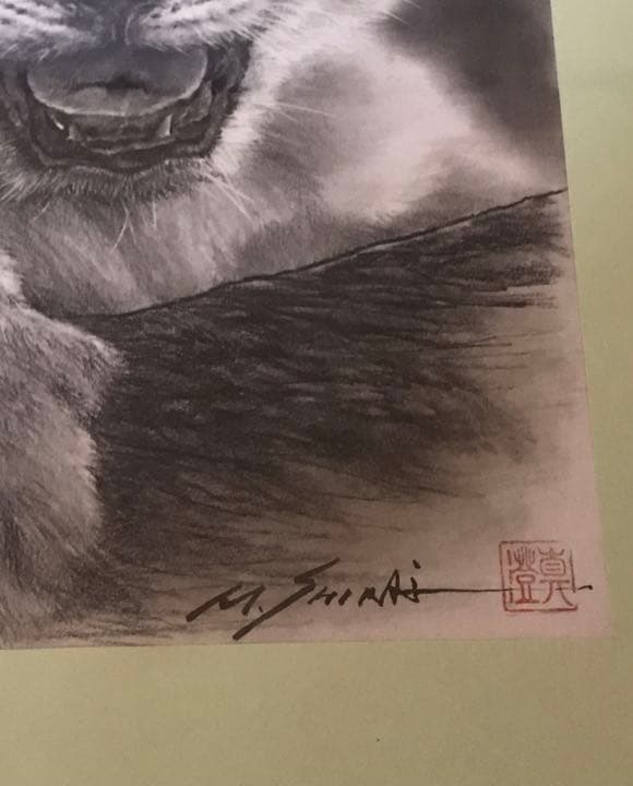 鉛筆画　ライオン　赤ちゃん