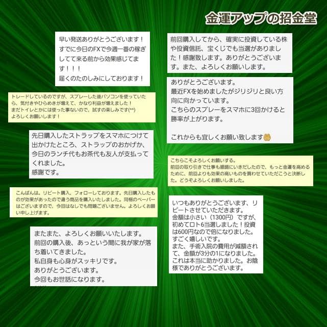 スペシャル『金運招財進寳』×金運万倍波動玉×浄化スプレー50×大金運うし×布袋尊