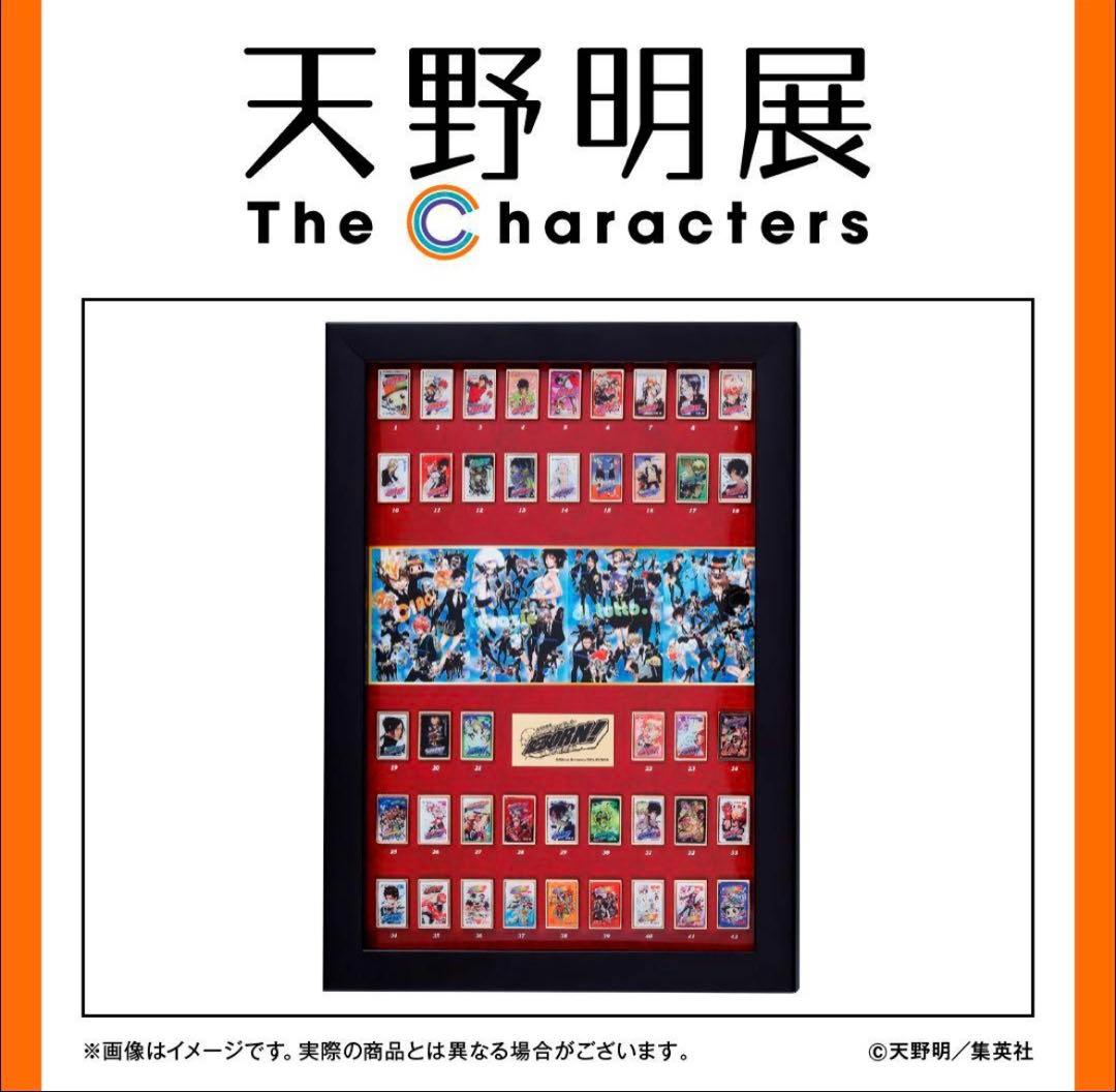 家庭教師ヒットマンREBORN! 天野明展 全巻ピンズセット