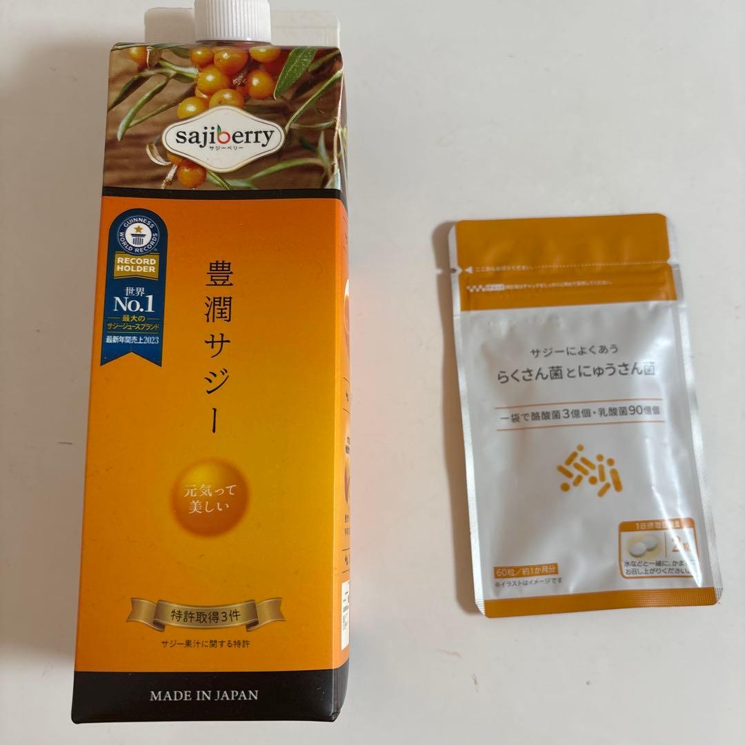 豊潤サジー 1L おまけらくさん菌とにゅうさん菌90粒 - メルカリ