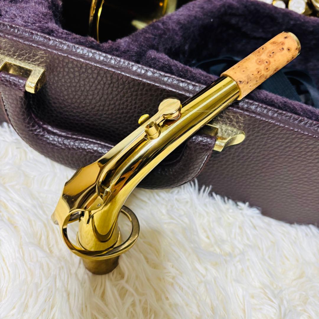 Heinrich ヘインリッチ アルトサックス HAL-75 ハードケース有