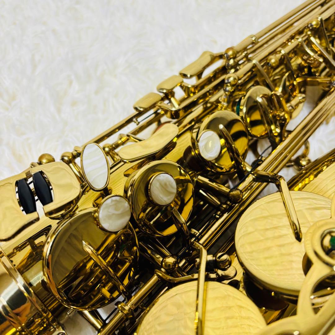 Heinrich ヘインリッチ アルトサックス HAL-75 ハードケース有