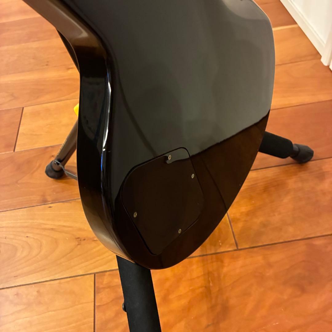 GrassRoots INORAN グラスルーツ イノランモデル GI-48LP