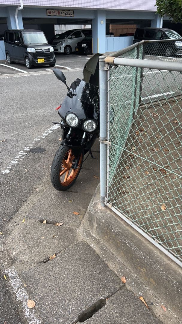 有）JUN 高純度 国産モンモリロナイト 5kg 水質改善 ミネラル 新品