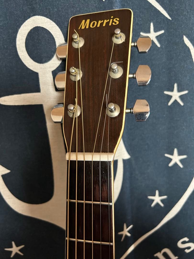 最終特価‼️単板トップ美品80年製❣️国産ビンテージ❣️モーリス W