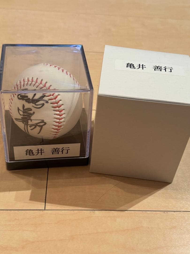 緑 スハンダエオウサマムカシタマムシ Calodema suhandae 標本