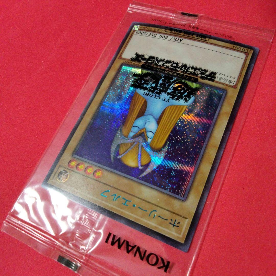 ホーリーエルフ ブルシク 未開封　ブルーシークレット