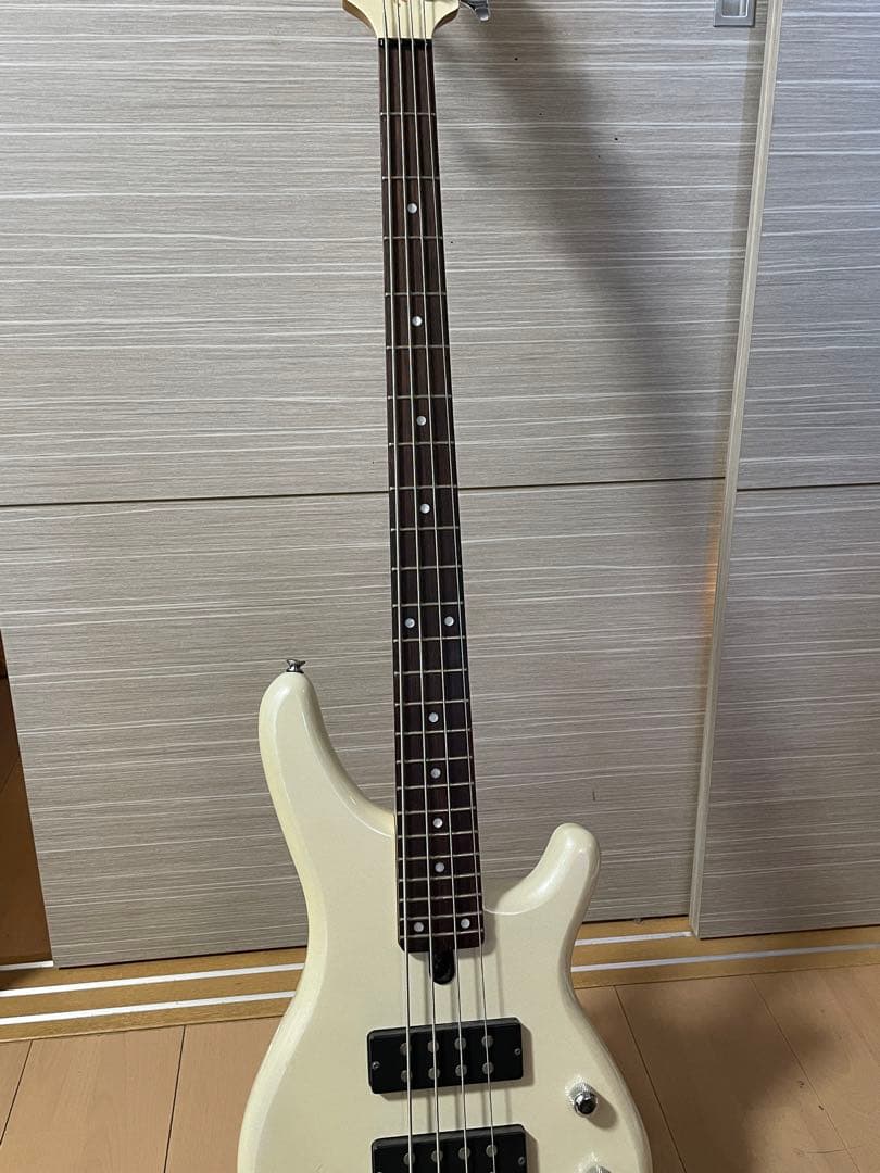 Roger Mayer / VooDoo-Bass KAMEDA CLASSIC