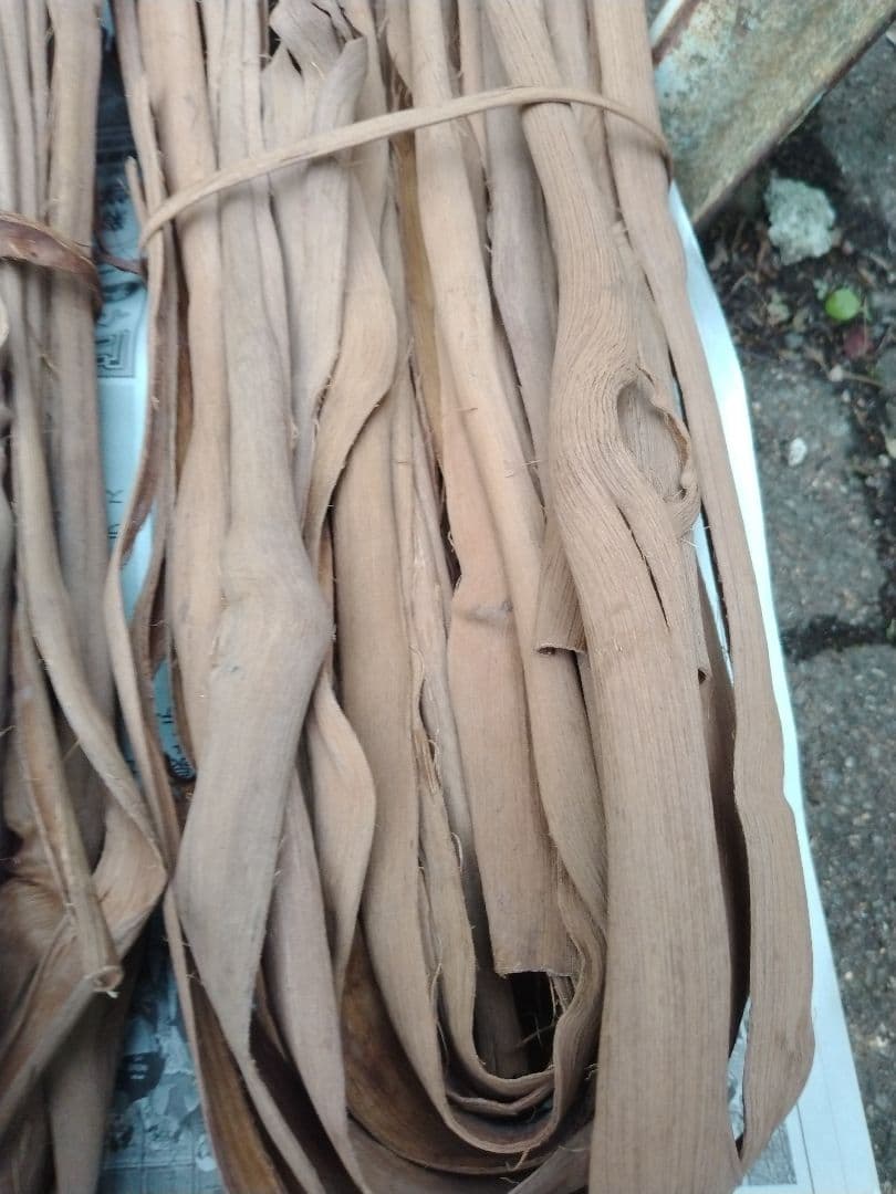 山葡萄蔓buru*様