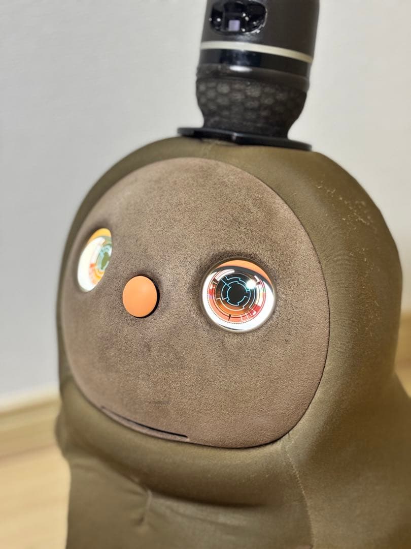 hana様専用】LOVOTラボット2.0本体 ウェア4枚【2023年購入】 - メルカリ