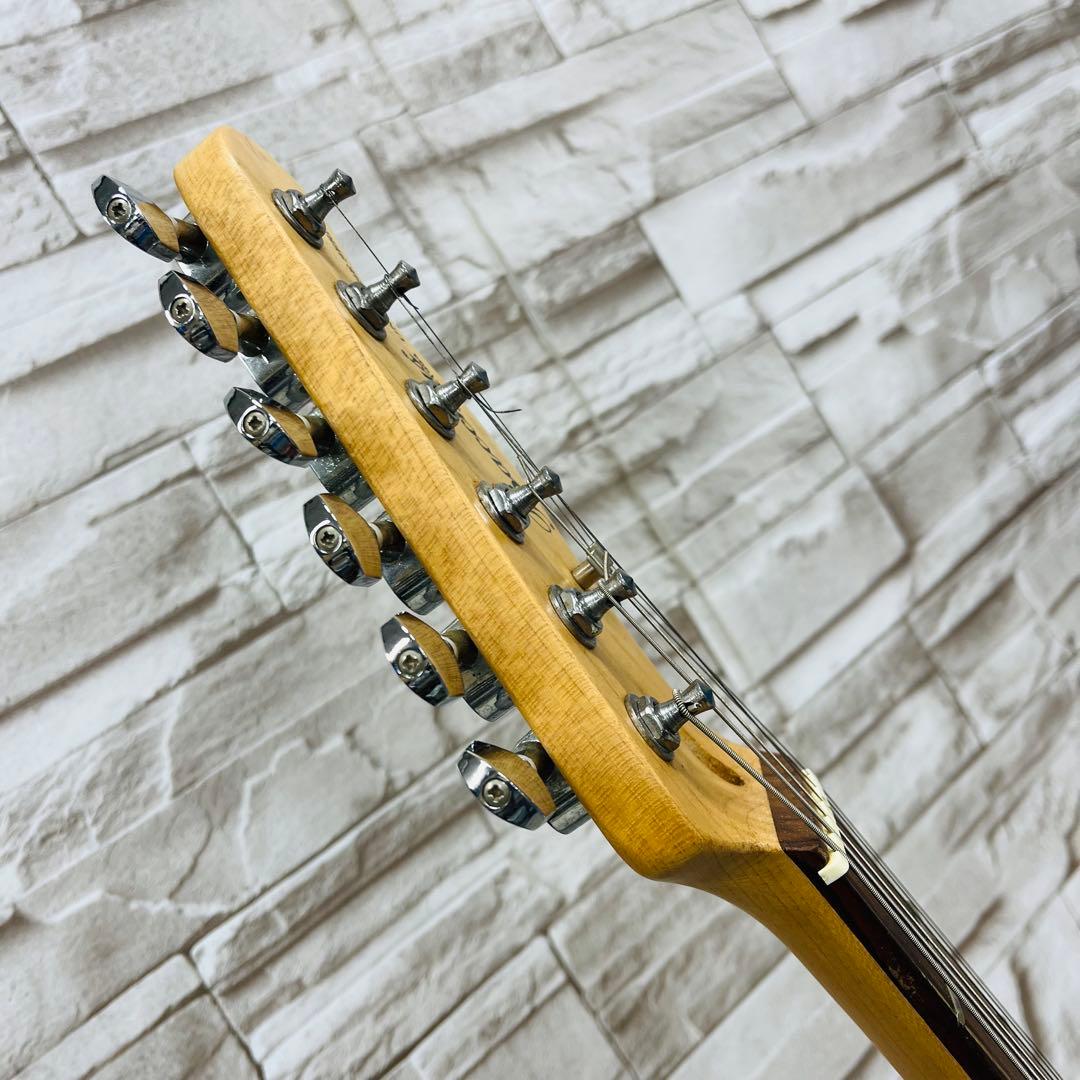 Bacchus バッカス UNIVERSE SERIES テレキャスター