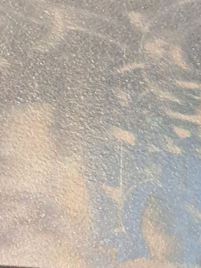 戦極竜　ヴァルキリアス・ムサシ　シークレット