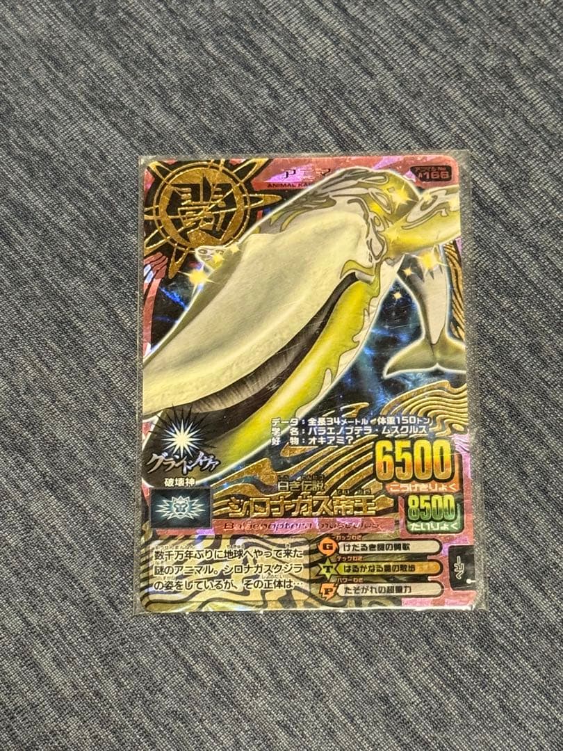 アニマルカイザー サンゴ師匠 激レア 状態C 美しき伝説の牙 サンゴ師匠