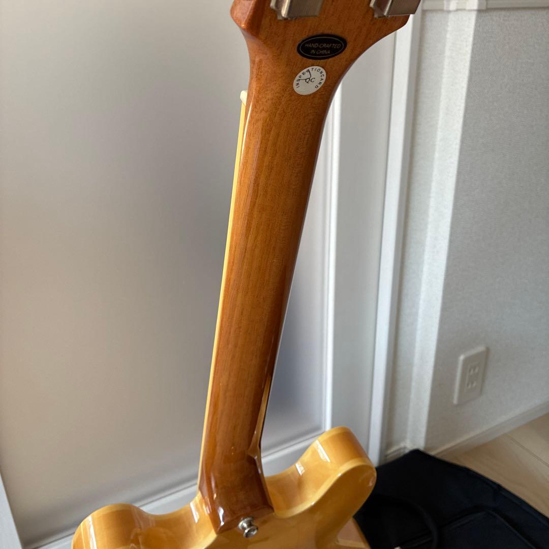 Epiphon Casino NA エピフォン カジノ ナチュラル