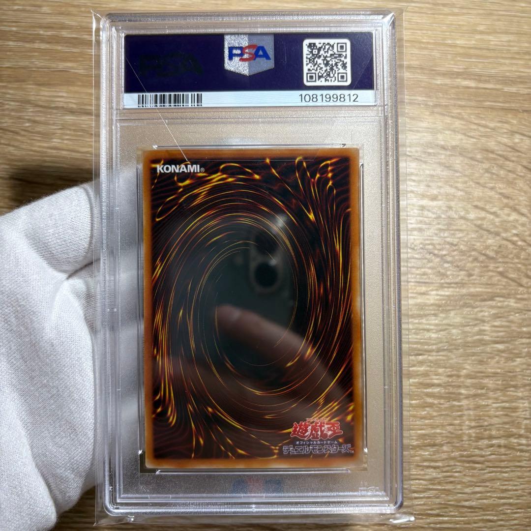 PSA10 極美品　最安値　世界15枚　王家の眠る谷 ネクロバレー　パラレル