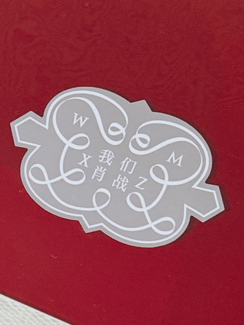 肖战　シャオジャンアルバム　レコード　【我们】