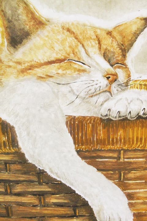 川瀬紀美子 一枚の繪 【猫No.2（ひるね）】 油彩 4号