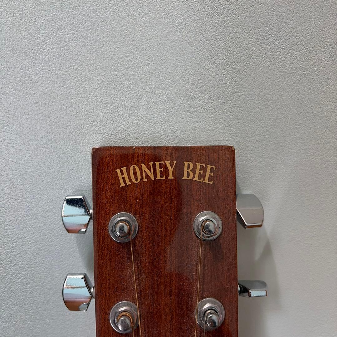 SI95 HONEY BEEアコースティックギター F-15MH【値下げ交渉可】