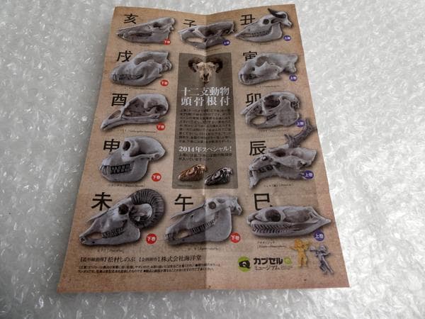 ホネコレ！ 十二支動物頭骨根付 コンプリート