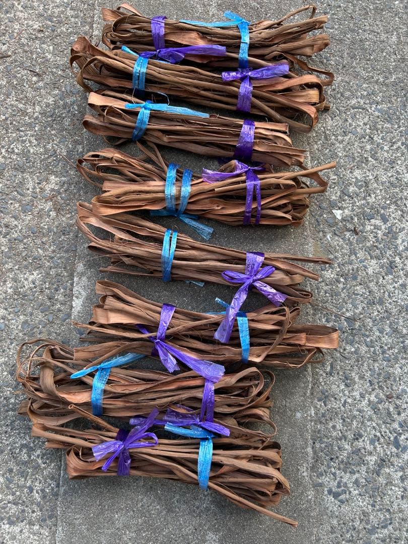 山葡萄蔓　宮城県2025年