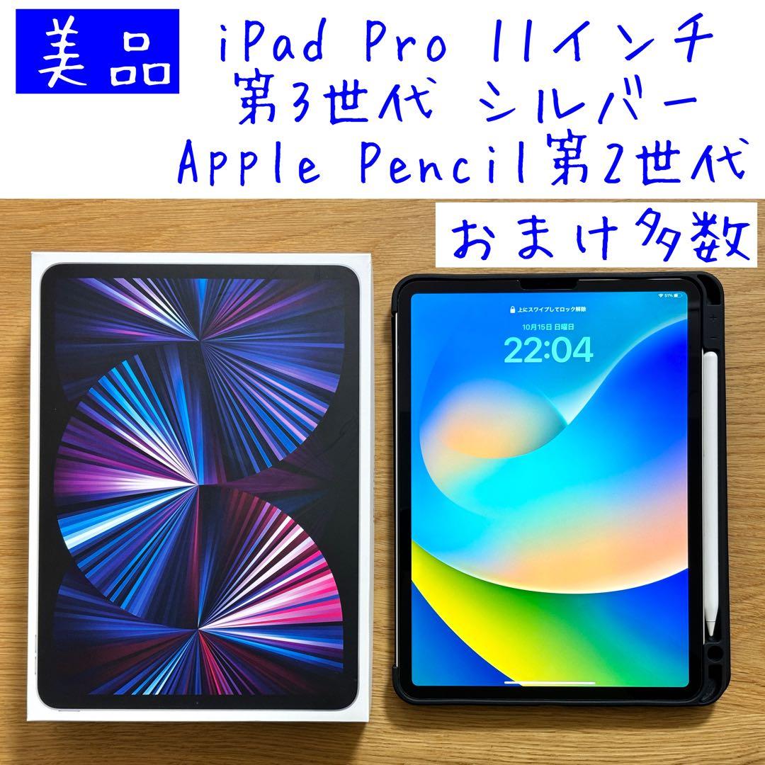 ApplePencil・箱つき】iPad Pro11 WI-FI 64GB