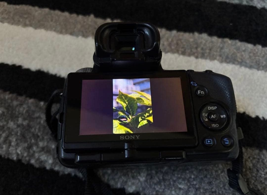 ❤️最終値下げ！バッテリー2個付き！❤️SONYα55ダブルレンズセット