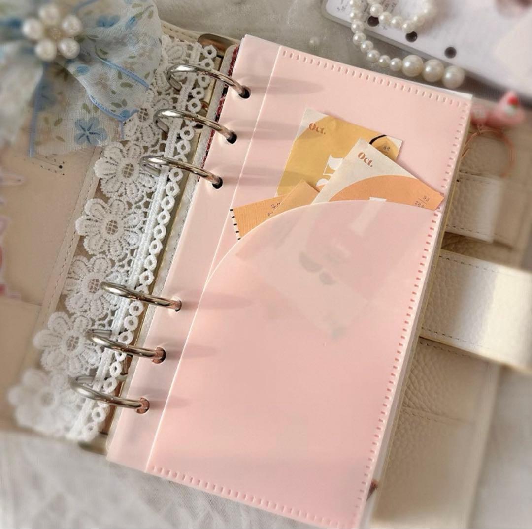 A6リフィル10枚 アクリルバインダー 貯金 saving 家計 ダブル ピンク