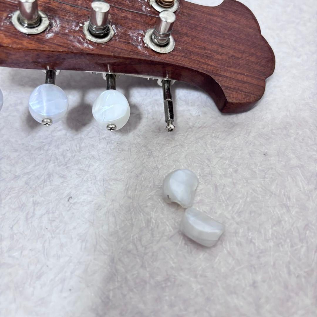 ☆マンドリン カターニア CATANIA イタリア ハードケース