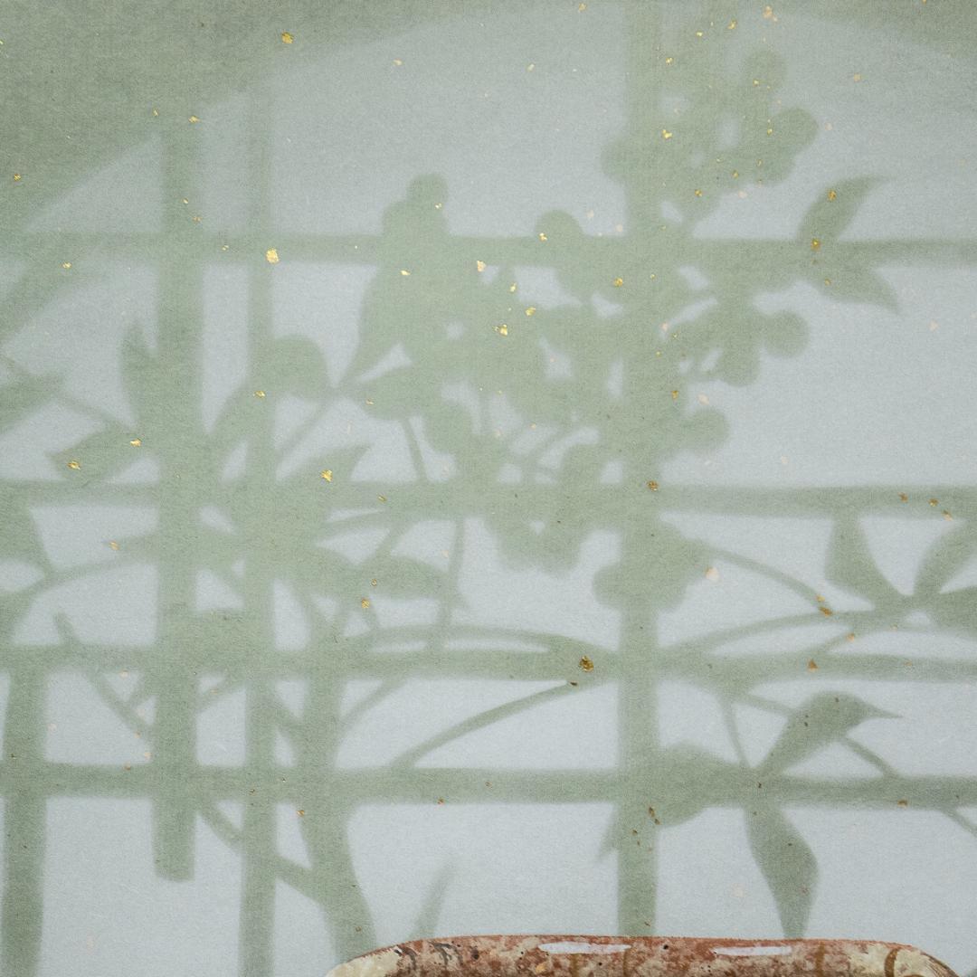 掛軸-1367　木村亮平　光悦雪峯　茶碗図　茶道具図