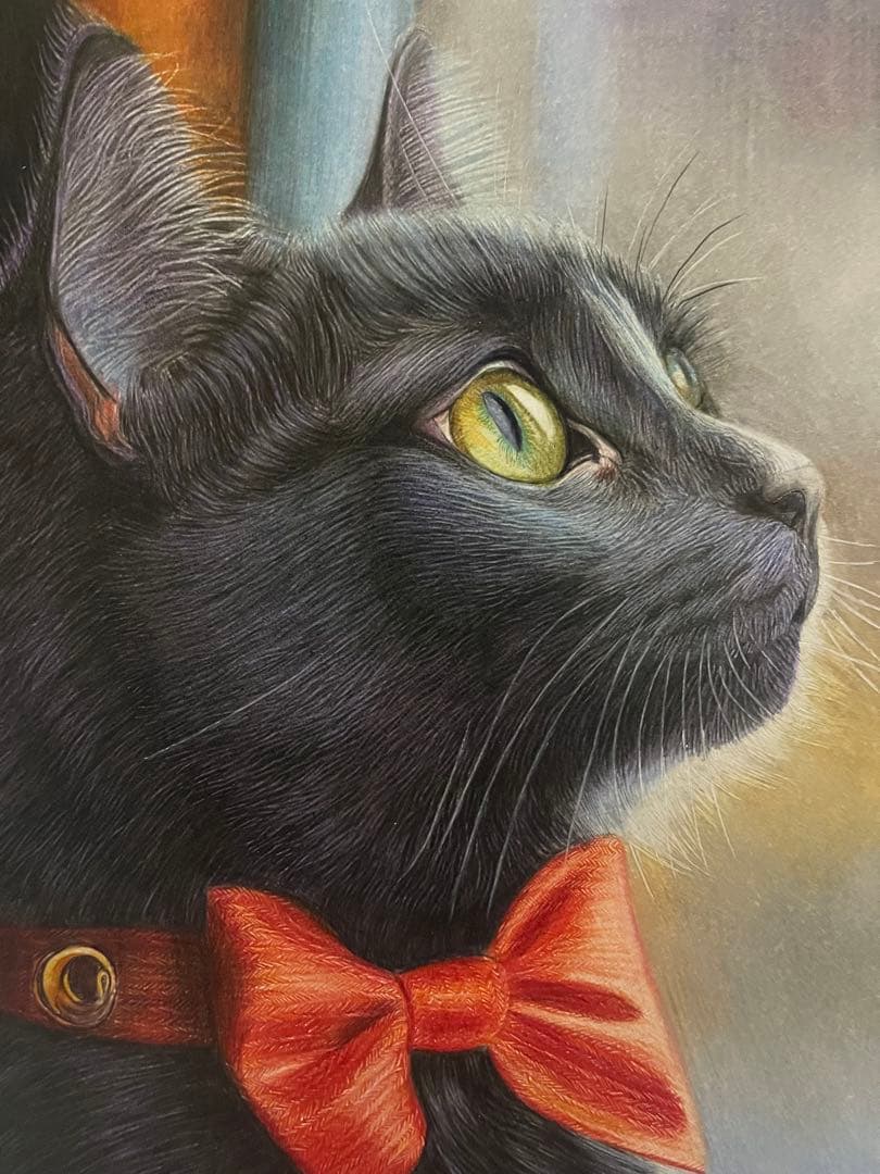 色鉛筆画.A4.黒猫.51