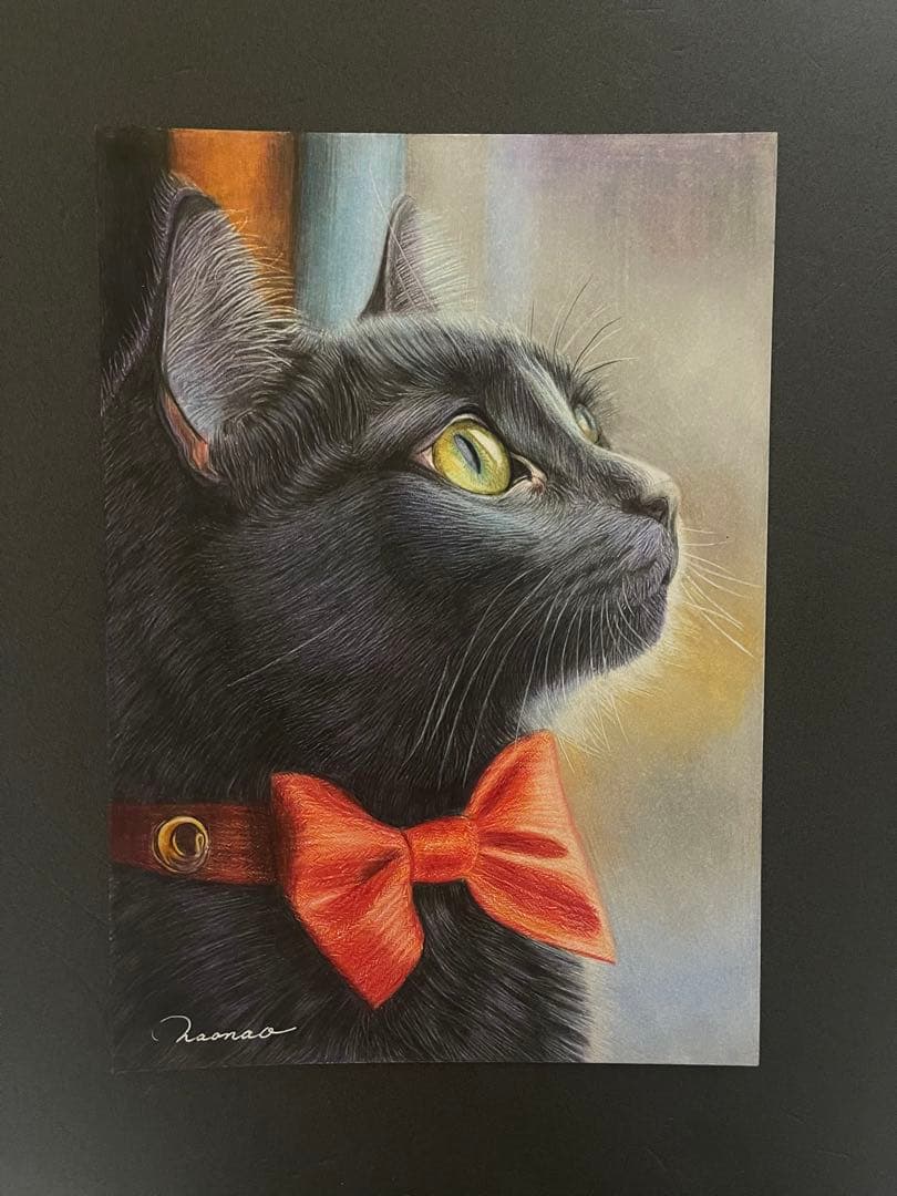 色鉛筆画.A4.黒猫.51