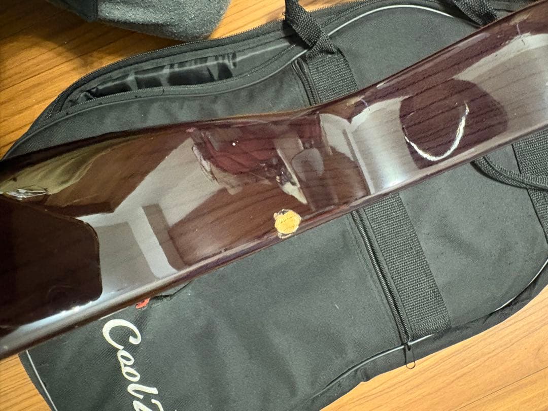 キャンペーン | ESP GUITARS 【現状品】esp Egoist MA-250BE 【ジャンク】